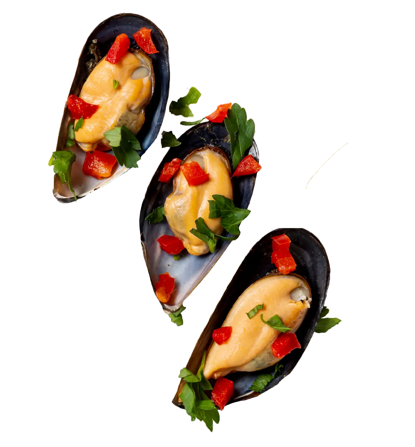 mejillones2